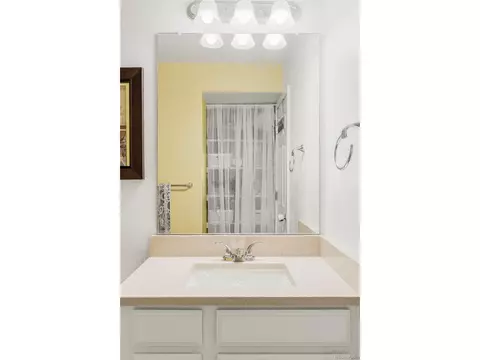 Bath - 9777 E 56th Pl, Denver, CO 80238 photo 3 of 3