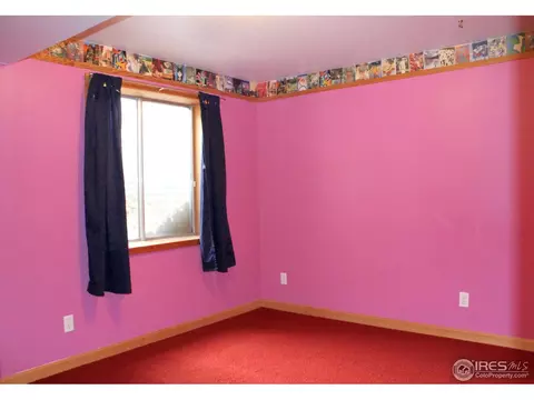 9701 Adams St, Thornton, CO 80229 photo 22