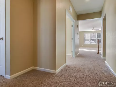 2933 Percheron Dr, Fort Collins, CO 80525 photo 3