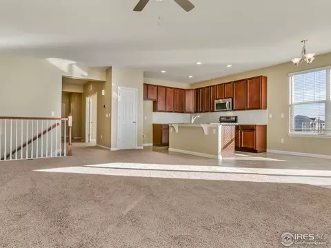 2933 Percheron Dr, Fort Collins, CO 80525 photo 7
