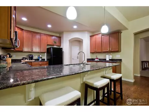 4628 Freehold Dr, Windsor, CO 80550 photo 6