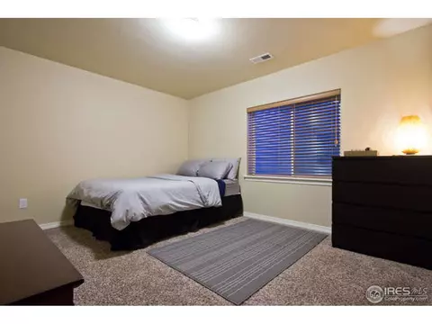 4628 Freehold Dr, Windsor, CO 80550 photo 23