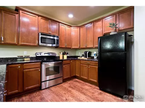 4628 Freehold Dr, Windsor, CO 80550 photo 10