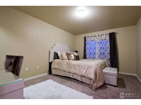 4628 Freehold Dr, Windsor, CO 80550 photo 22