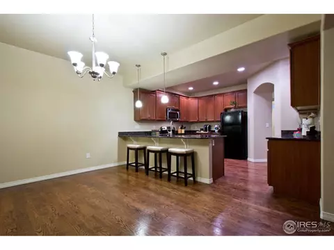 4628 Freehold Dr, Windsor, CO 80550 photo 11