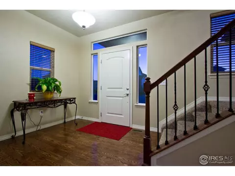 4628 Freehold Dr, Windsor, CO 80550 photo 3