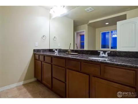 4628 Freehold Dr, Windsor, CO 80550 photo 16