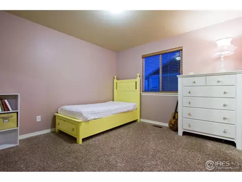4628 Freehold Dr, Windsor, CO 80550 photo 19