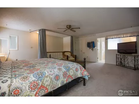 324 9th St, Windsor, CO 80550 photo 20