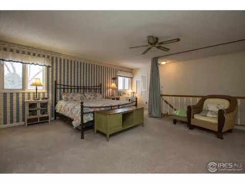 324 9th St, Windsor, CO 80550 photo 22