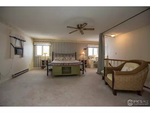 324 9th St, Windsor, CO 80550 photo 21