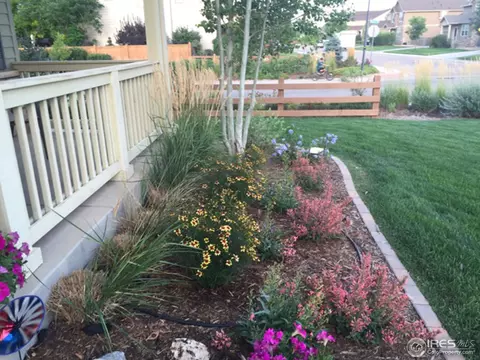 8039 Raspberry Dr, Frederick, CO 80504 photo 3