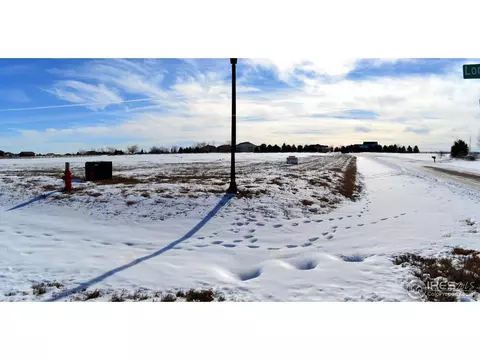 5288 Blackhawk Dr, Windsor, CO 80550 photo 4