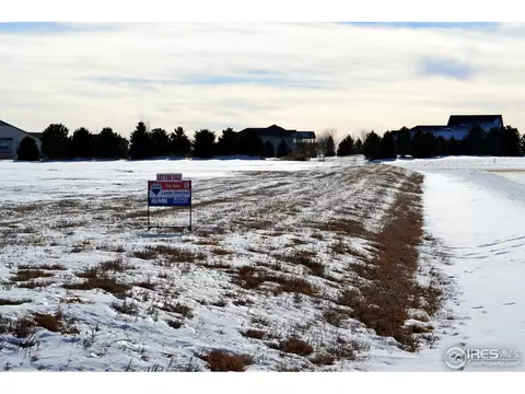 5288 Blackhawk Dr, Windsor, CO 80550 photo 5