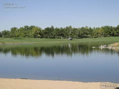 409 Whitney Hbr, Windsor, CO 80550 photo 25