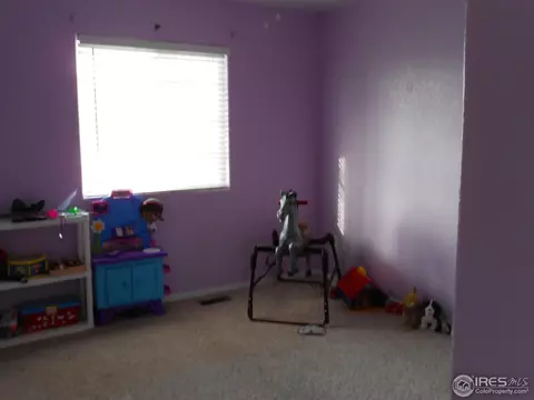 3042 46th Ave, Greeley, CO 80634 photo 8