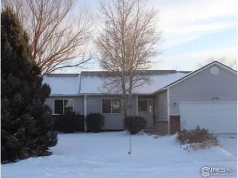 1237 Westwood Dr, Windsor, CO 80550 photo 1