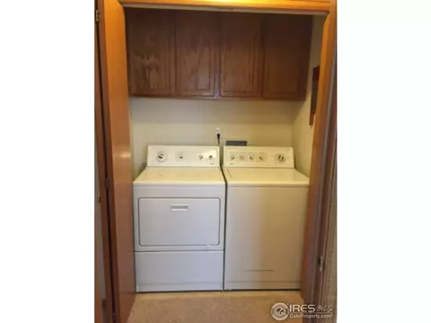 1237 Westwood Dr, Windsor, CO 80550 photo 6