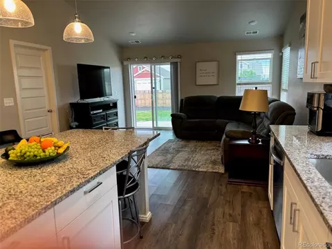 509 Pronghorn Ct, Wiggins, CO 80654 photo 5