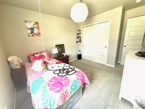 509 Pronghorn Ct, Wiggins, CO 80654 photo 11
