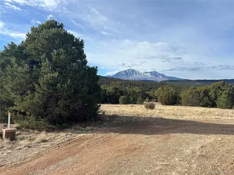 142 Silver Spurs Rnch, Walsenburg, CO 81089
