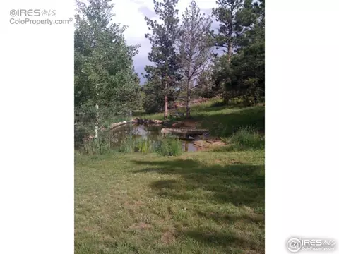 22 Deer Hollow Ct, Lyons, CO 80540 photo 19