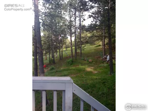 22 Deer Hollow Ct, Lyons, CO 80540 photo 12
