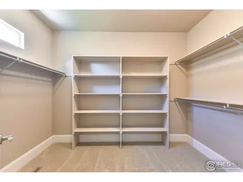 5980 Yellowtail St, Timnath, CO 80547 photo 24