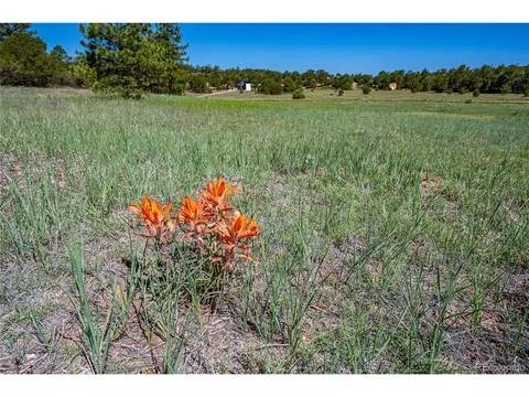 213 Thunderbird Rd, Cotopaxi, CO 81223 photo 4