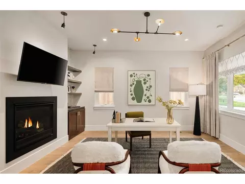 Other - 20 Ivanhoe St, Denver, CO 80220 photo 1 of 10