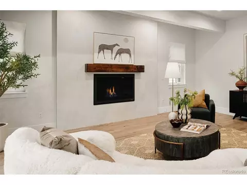 Living - 20 Ivanhoe St, Denver, CO 80220 photo 1 of 3