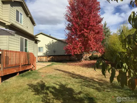 6742 Thistle Ridge Ave, Firestone, CO 80504 photo 25