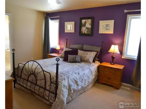 230 Sequoia Cir, Windsor, CO 80550 photo 11