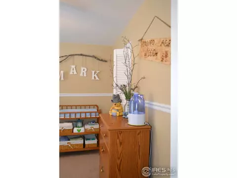 230 Sequoia Cir, Windsor, CO 80550 photo 17