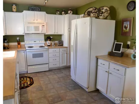 230 Sequoia Cir, Windsor, CO 80550 photo 10