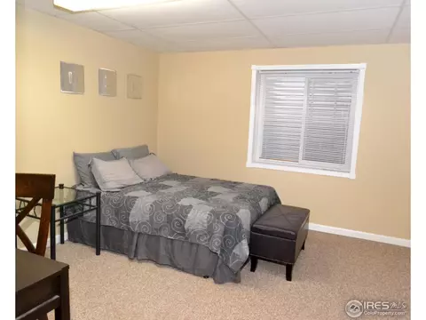 230 Sequoia Cir, Windsor, CO 80550 photo 20
