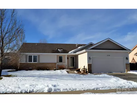 230 Sequoia Cir, Windsor, CO 80550 photo 1