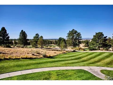 Other - 8055 Painted Pine St, Parker, CO 80134 photo 4 of 7