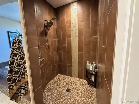 Bath - 7988 Wisdom Ct, Frederick, CO 80530 photo 3 of 6