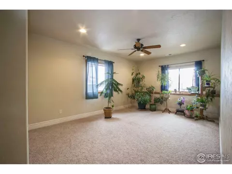 7910 Skyview St, Greeley, CO 80634 photo 18