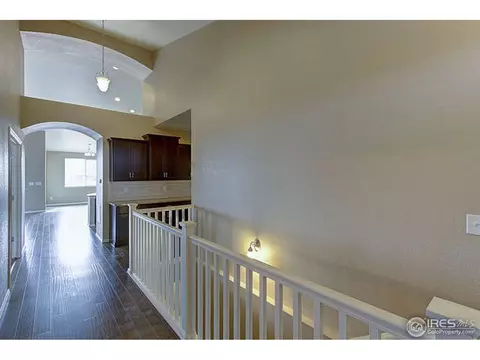 2159 Longfin Dr, Windsor, CO 80550 photo 3