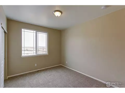 2159 Longfin Dr, Windsor, CO 80550 photo 16