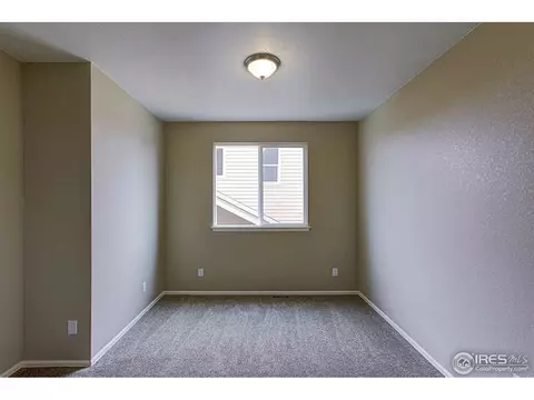 2159 Longfin Dr, Windsor, CO 80550 photo 5