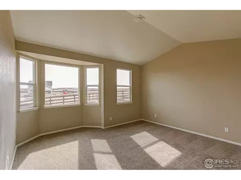 2159 Longfin Dr, Windsor, CO 80550 photo 13