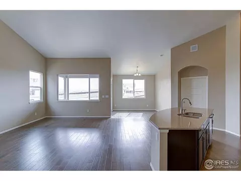 2159 Longfin Dr, Windsor, CO 80550 photo 6