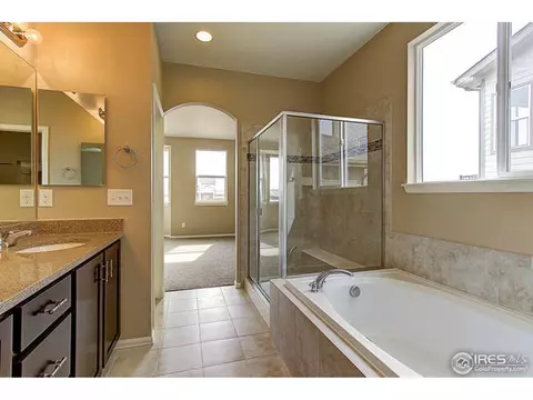 2159 Longfin Dr, Windsor, CO 80550 photo 15
