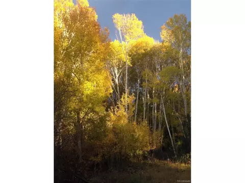 244 Big Bear Rd, Mosca, CO 81146