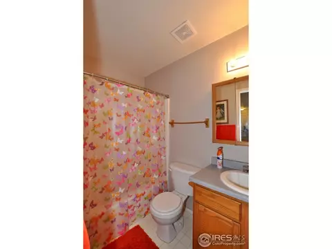 3232 Red Tail Way, Evans, CO 80620 photo 10