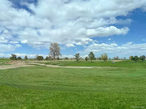 6836 E 118th Pl, Thornton, CO 80233 photo 34