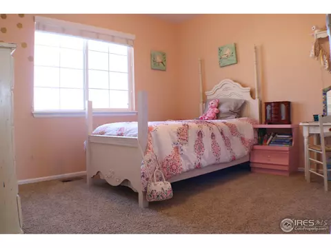 5809 Scenic Ave, Firestone, CO 80504 photo 10